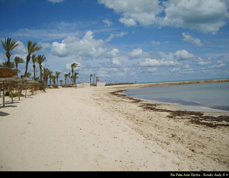Riu Palm Azur - Voyages Laurence SPRL (18).JPG